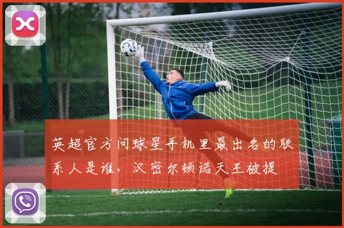 英超官方问球星手机里最出名的联系人是谁，汉密尔顿诺天王被提
