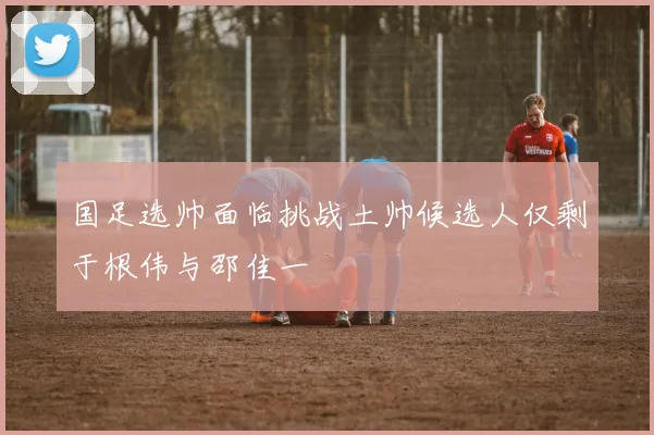 国足选帅面临挑战土帅候选人仅剩于根伟与邵佳一