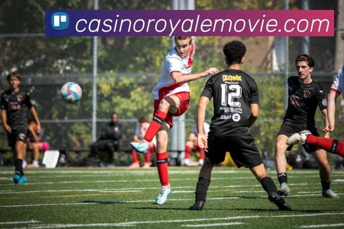 亚娱体育服务体系